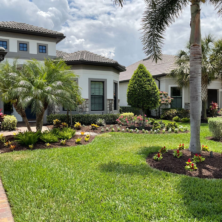 Landscape makeover Naples
