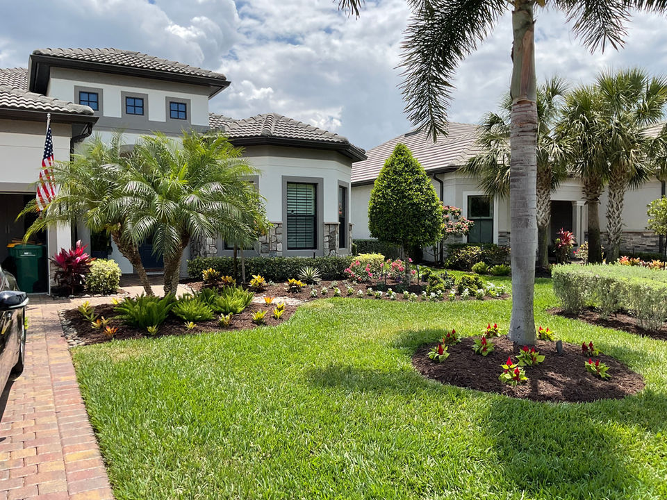 Landscape makeover Naples