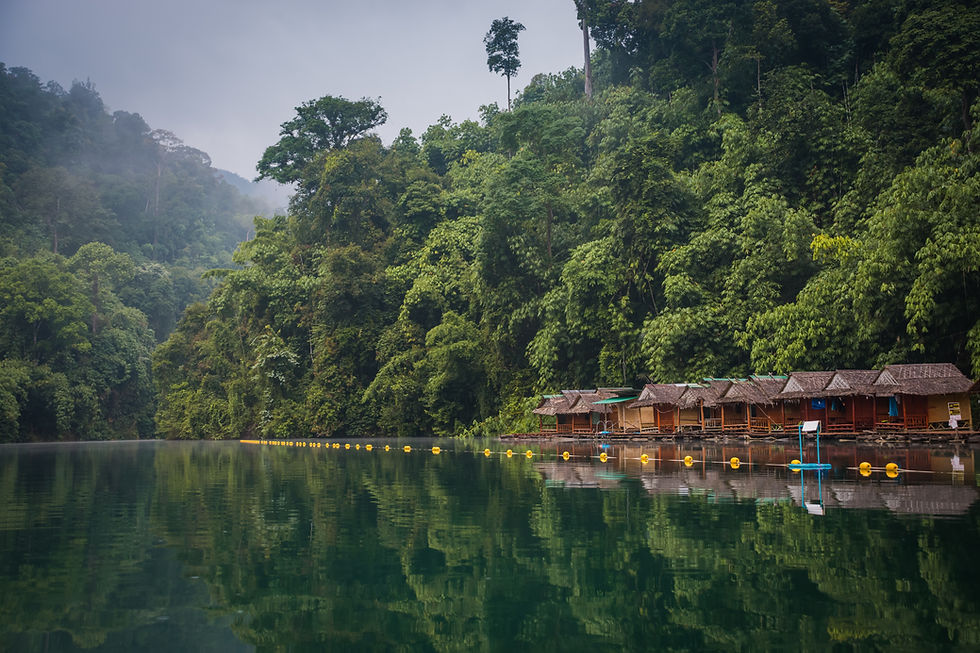 Cabañas de madera junto al lago
