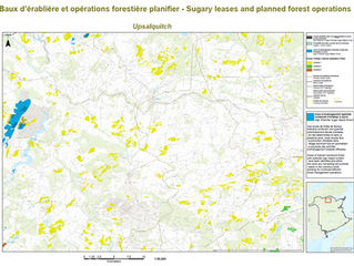 2021-22 Sugary leases & planned forest operations Upsalquitch