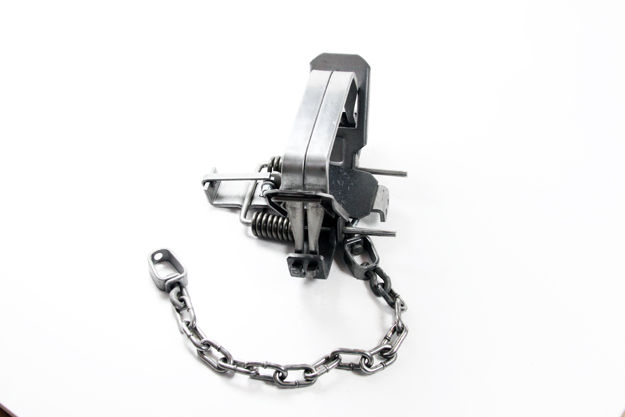 Thumbnail: Bridger #1.65 Coil Spring