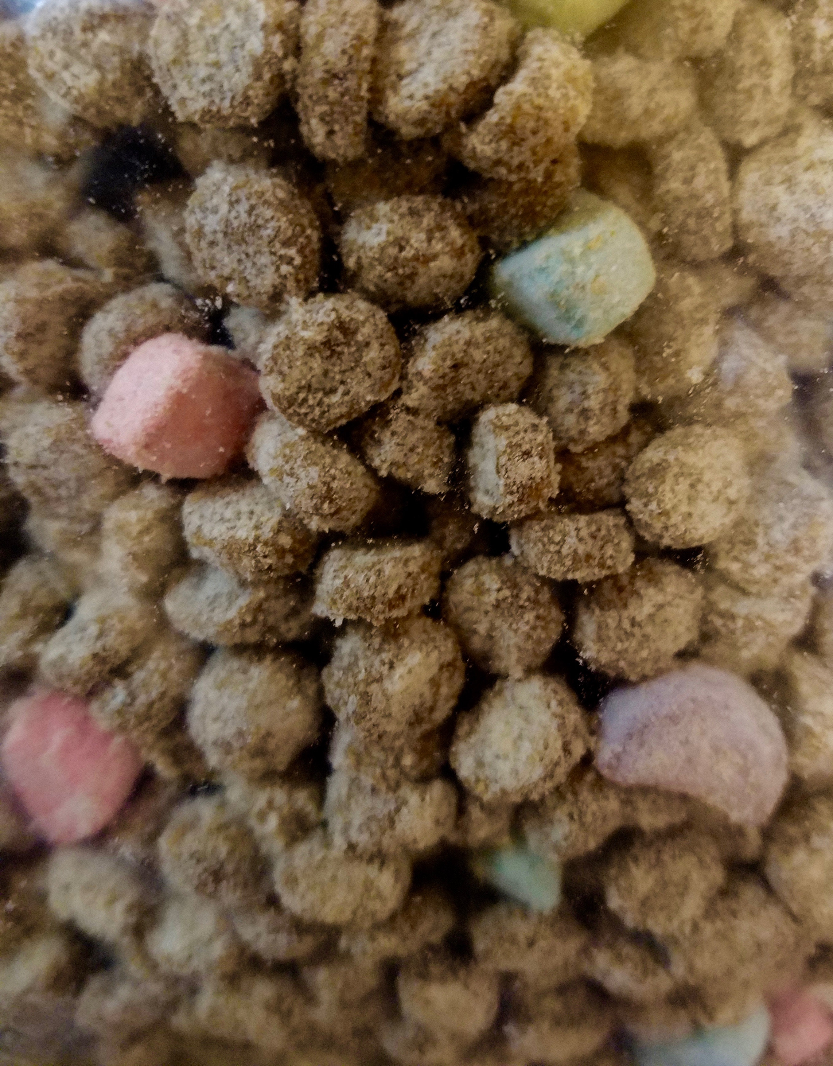 Keg Creek REGULAR Coon Crunch Raccoon Bait Funke Trap Tags