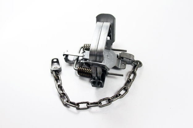 Thumbnail: Bridger #1.75 Coil Spring