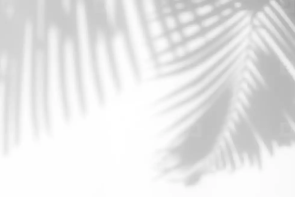 258906_00_2x.webp