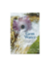 Gem Water book cover with a floral design and visible text.