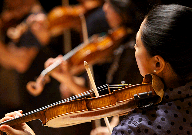 Violin
