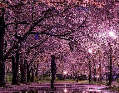 Energy Healing Therapy