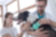 Vet Examining Dog