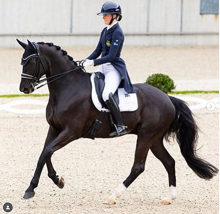 Screenshot 2025-09-05 at 15.01_edited.jpg