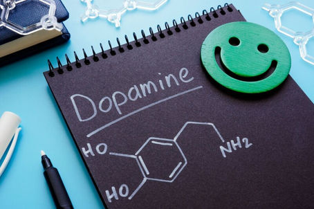 Importance of Fatty Acids in the Production of Dopamine