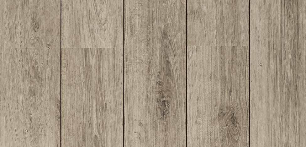 Studio - Carvalho Dover