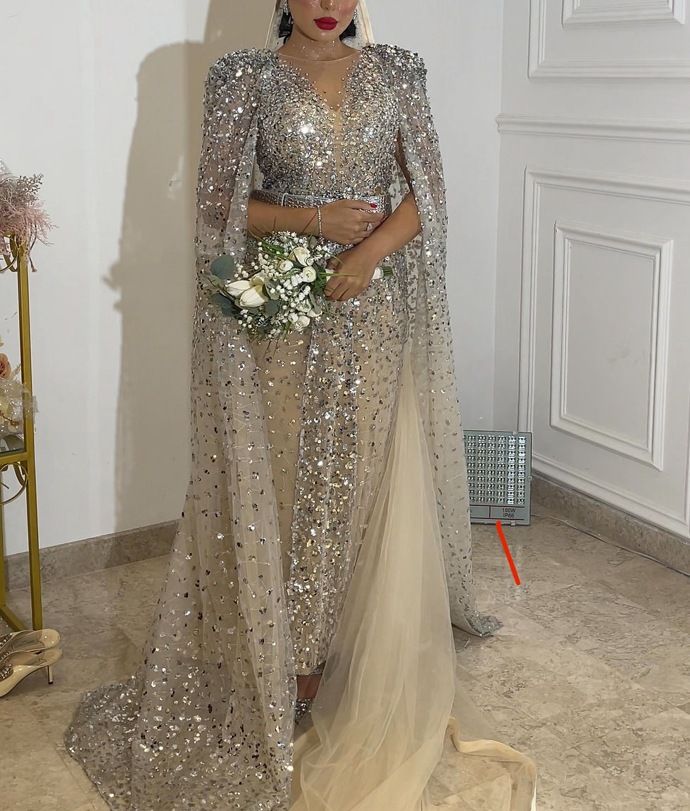 Thumbnail: Malka glamorous silver beige dress with veil فستان خطوبة فضي و بيج مع الطرحة