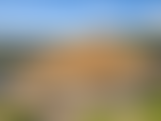 Seismic Performance of New Zealand Homes: Lessons from Recent Research 