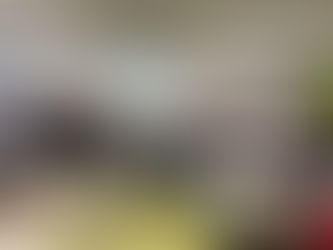 Veranlagen wagen ... 