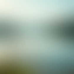 Ein Jahr ohne Alkohol: Mein persönlicher Erfahrungsbericht