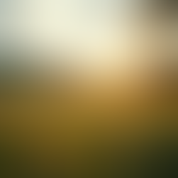 Tipps für ein alkoholfreies Leben: So gelingt's