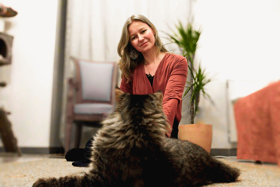 Féline Harmony, comportementaliste félin