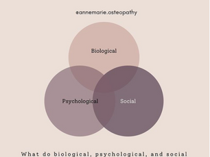 What is the Biopsychosocial Model and what does it have to do with pain?