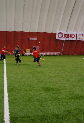 DSC01346_large.jpg