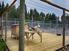 Hundgård & Stängsel