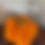 Thumbnail: Large Pumpkins
