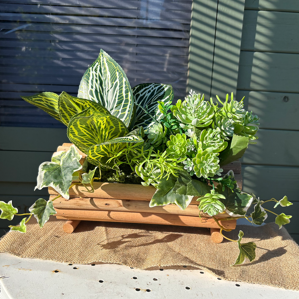 Succulent Planter 
