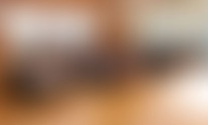 かわいい仲間が増えました