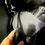 Thumbnail: Sidewinder Crevice Tool