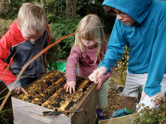Dunedin’s Scientific Beekeeper