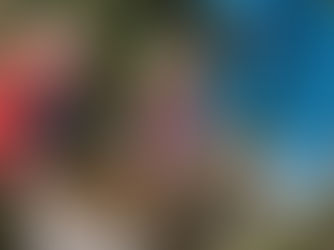 Dunedin’s Scientific Beekeeper