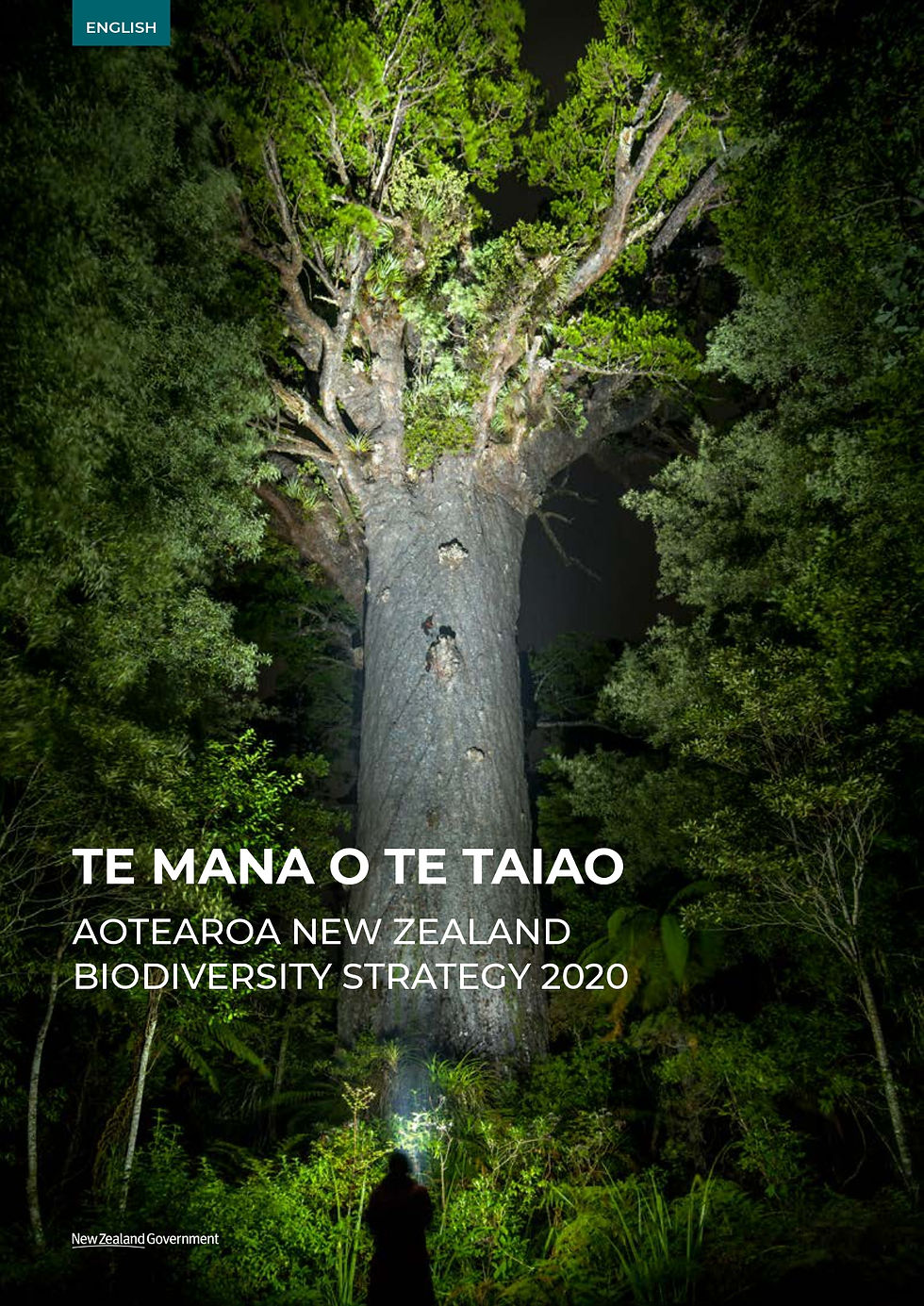 Te Mana o te Taiao, New Zealand’s biodiversity strategy makes scant mention of honey bees.