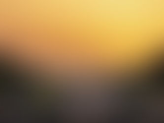 The India FTA – A Win for Honey, but we Should be Wary