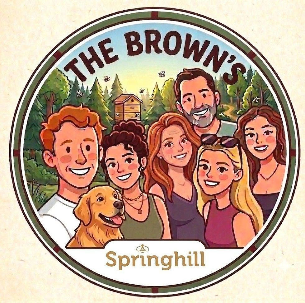 The Brown family have sought to rebrand from the beleaguered Springbank Honey to Springhill Honey Ltd, the company registered just days before the receivers moved in. This AI image is prominently used on the Springbank Facebook page.
