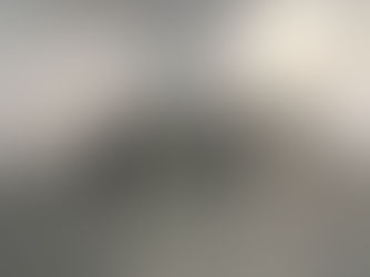 AFB Dogs Research Debate Goes Around in Circles