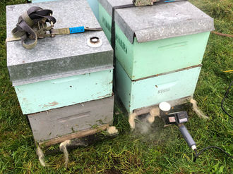 No Rest from the Wicked