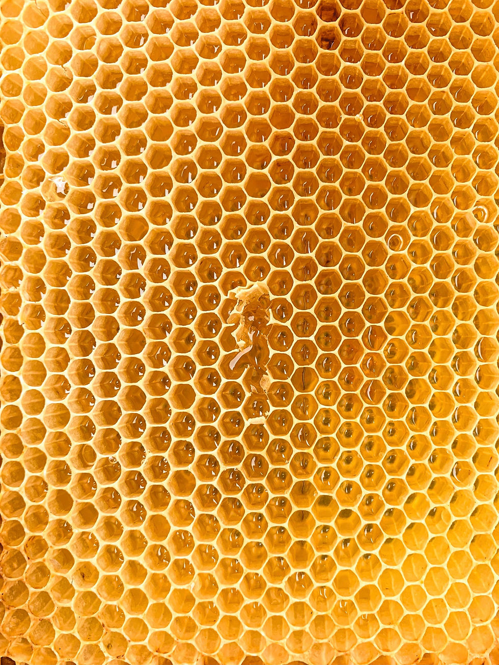 Some beekeepers in Asia are undertaking honey fraud by harvesting freshly stored nectar from hives and vacuum drying it in factories to create what Apimondia calls “dried nectar”.