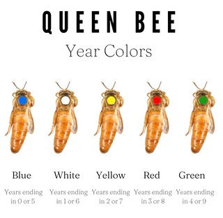 Queen Breeders Feature