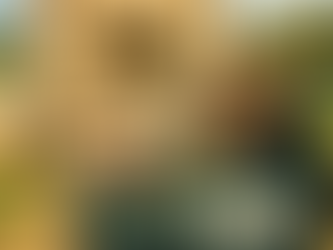 Beekeepers’ Hornet Bounty Idea Lands in MPI’s Too Hard Basket