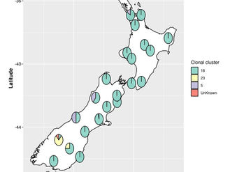 Putting New Zealand’s AFB ‘on the Map’