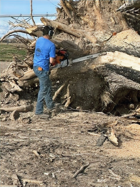 cutting stump with Timberman_edited.jpg