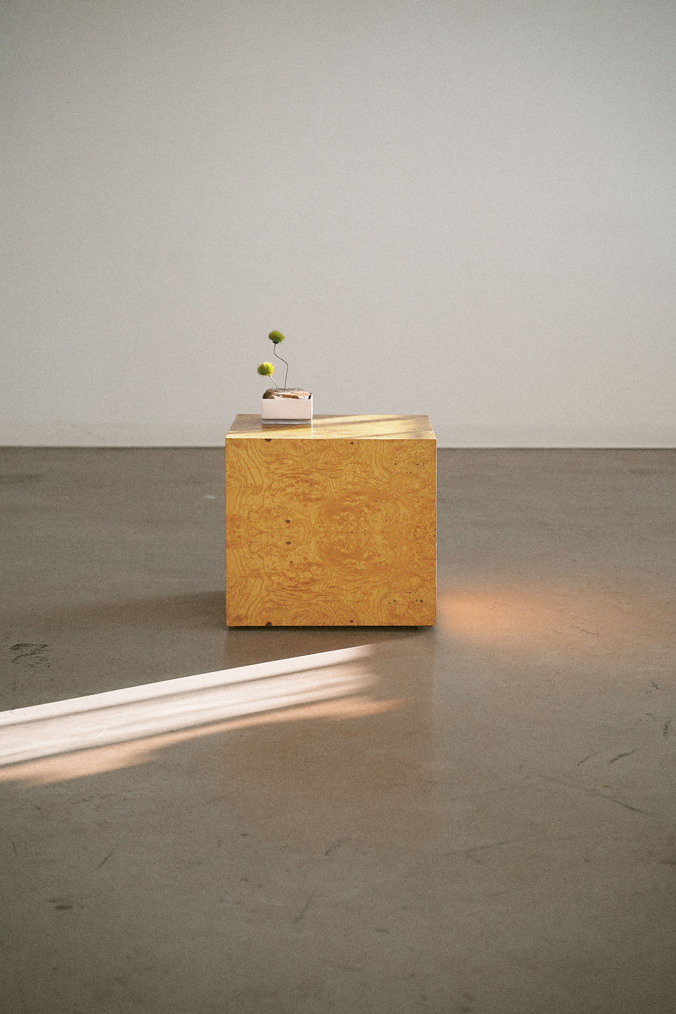 Thumbnail: Birds Eye Maple Burl Side Table and Speaker in the style of Milo Baughman