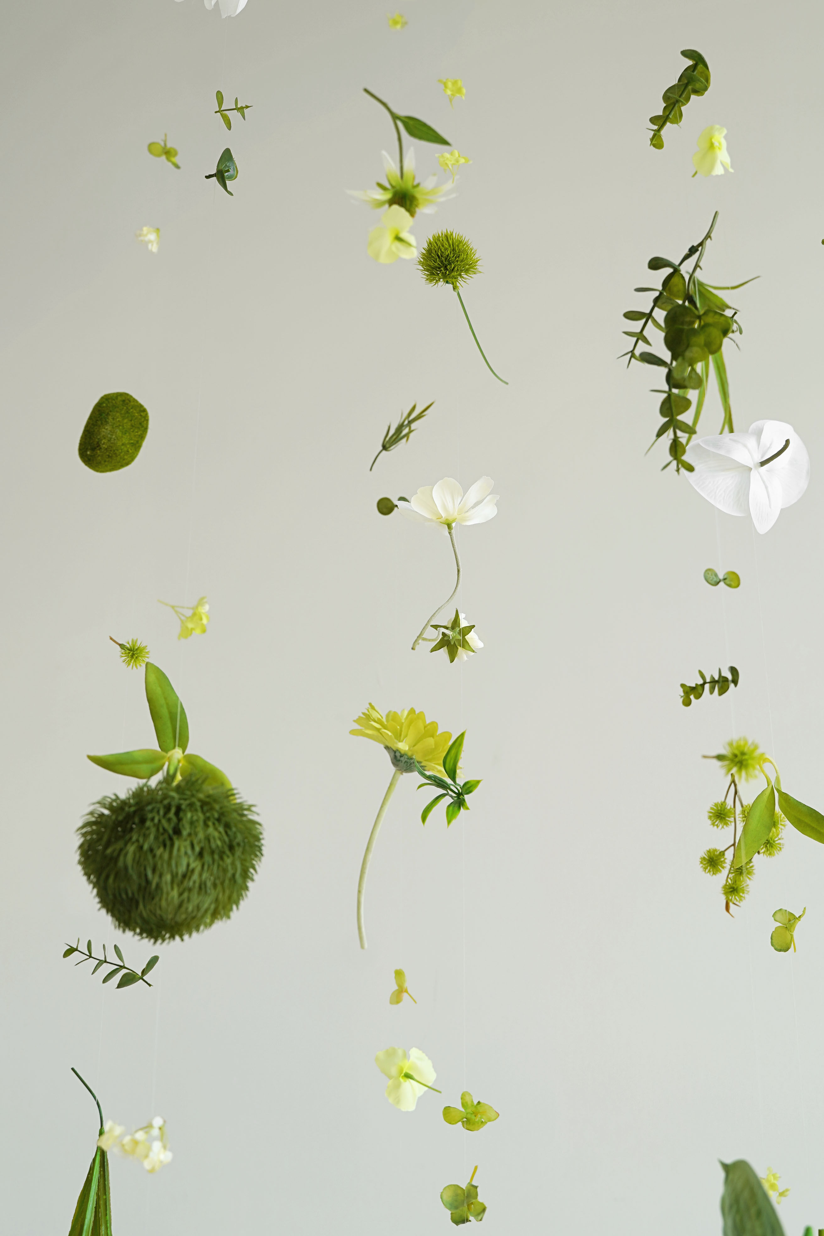 moss flora installation