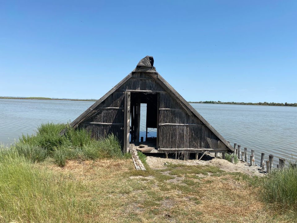 valli-comacchio.jpeg