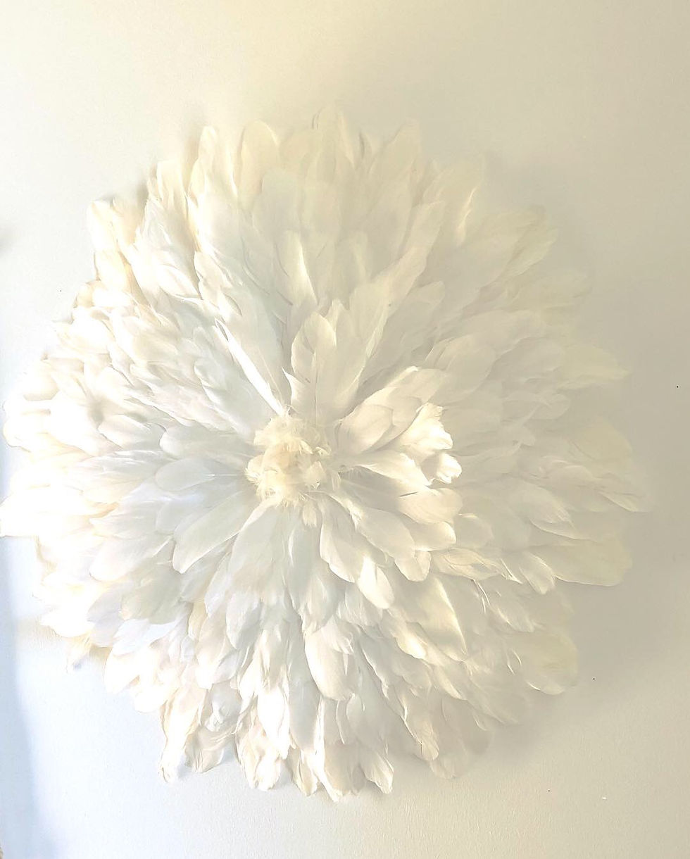 Thumbnail: Fleur de plumes