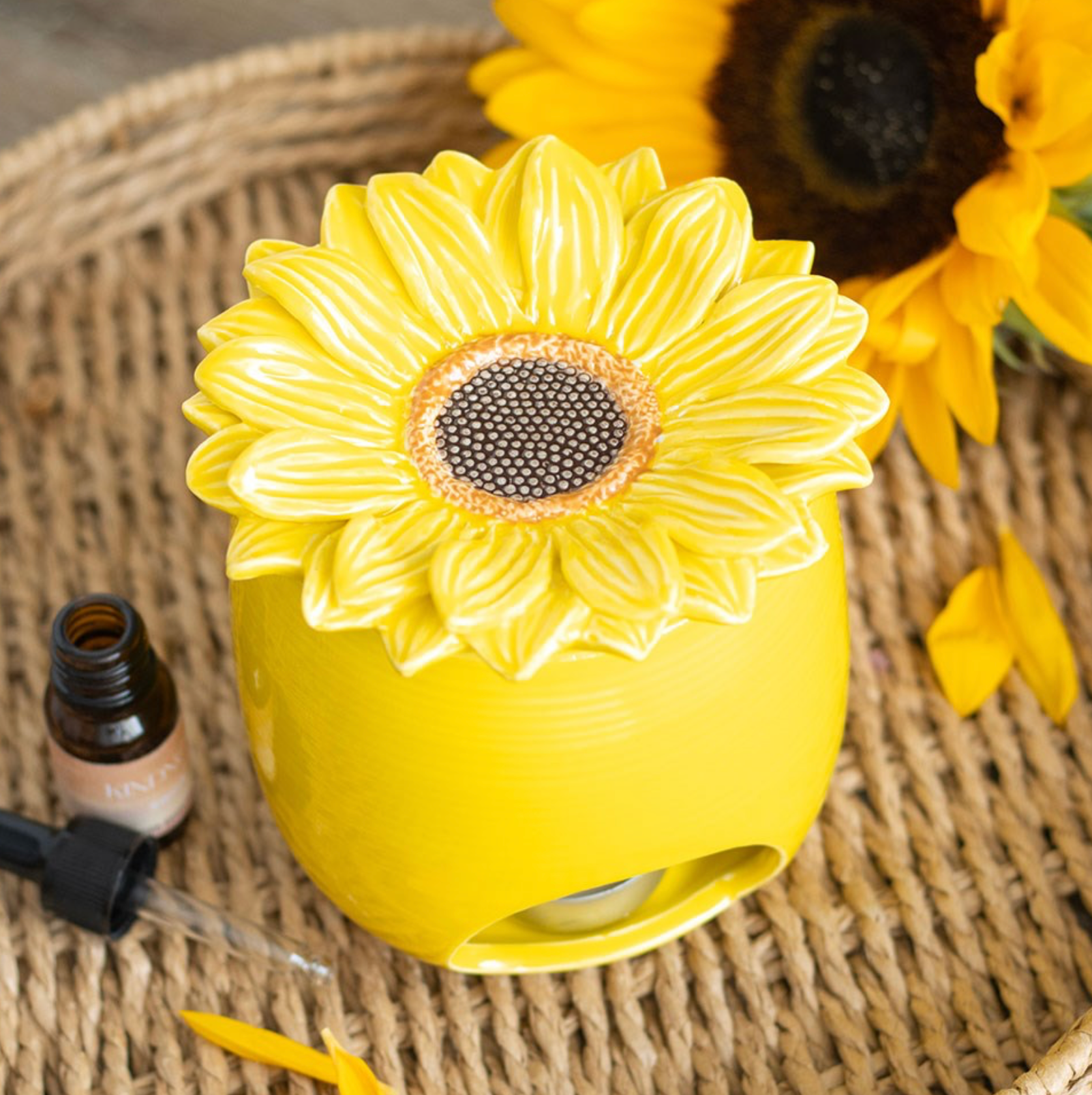 Brûleur Tournesol