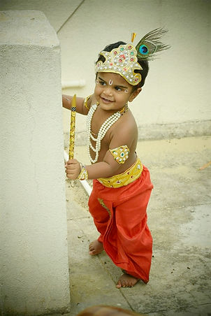 Krishna Costume