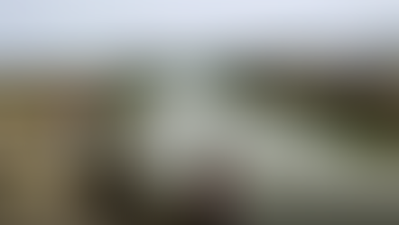 अगर ये हाल रहा तो उत्तर प्रदेश को पहचानना मुश्किल हो जाएगा !