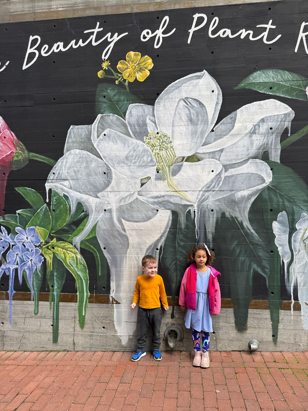 Savannah Plant Riverside District