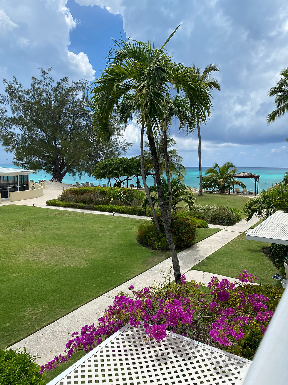 Palm trees and vibrant purple flowers by a green lawn lead to a turquoise sea under a partly cloudy sky, creating a serene, tropical scene.