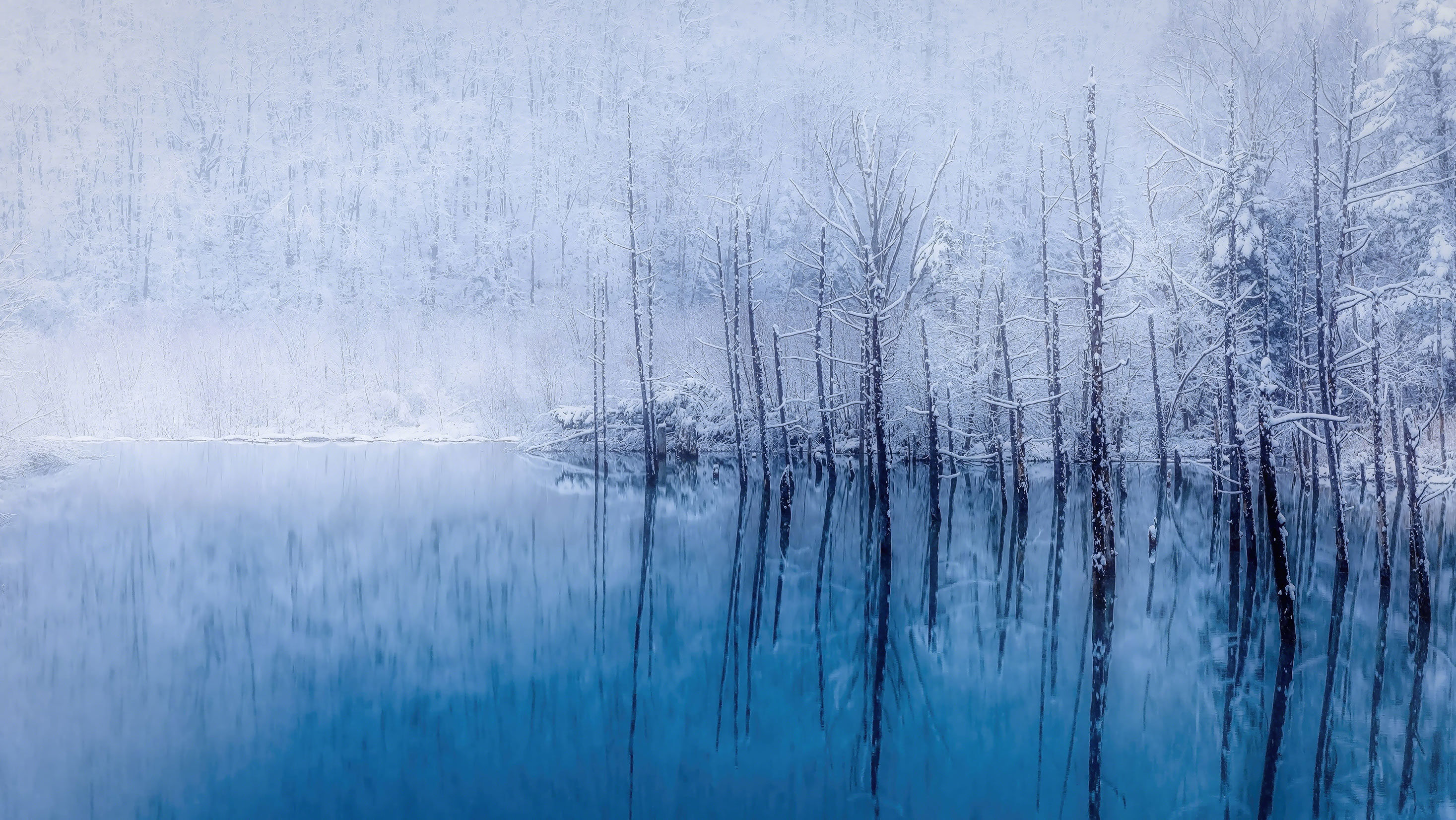 [和紙作品] 新田義正作品0001/ 各種サイズ